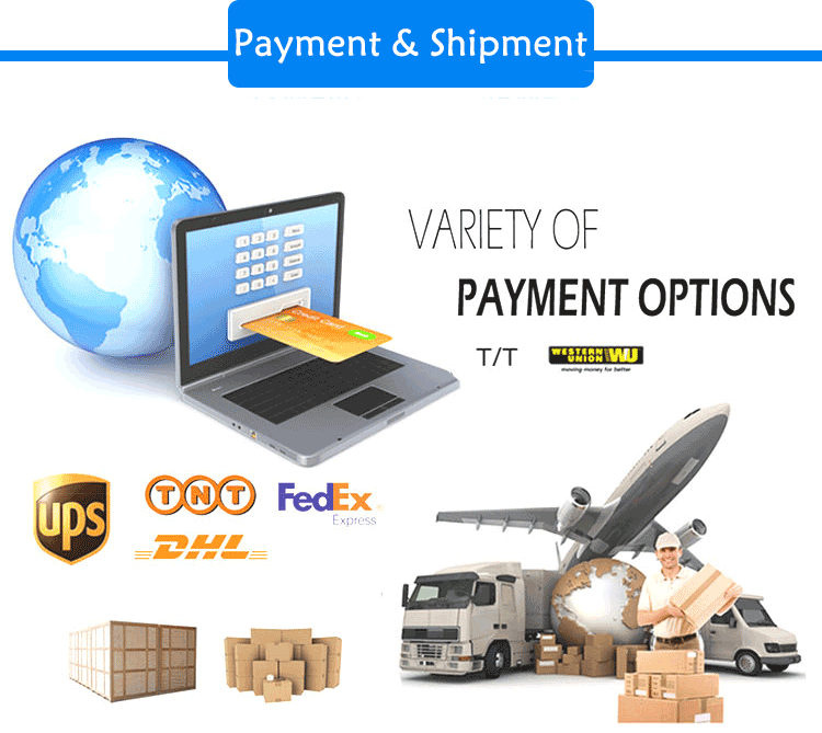 chongqing scope shipment payment chongqing scope shipment payment