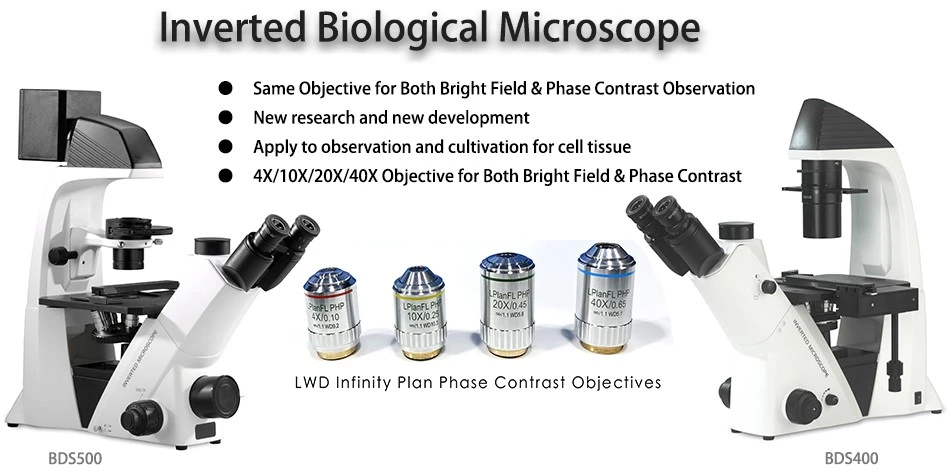 Chinese inverted biological microscope Chineseinvertedbiologicalmicroscope